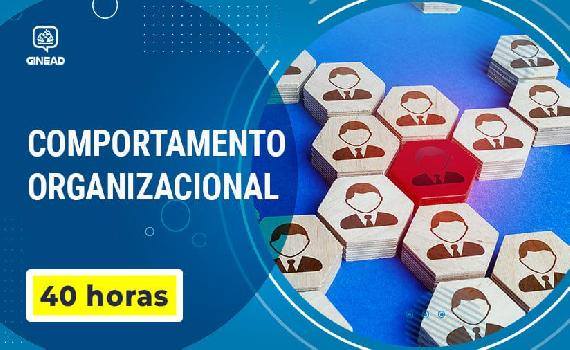 [Curso Comportamento Organizacional]
